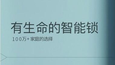 什么牌子的智能门锁最好